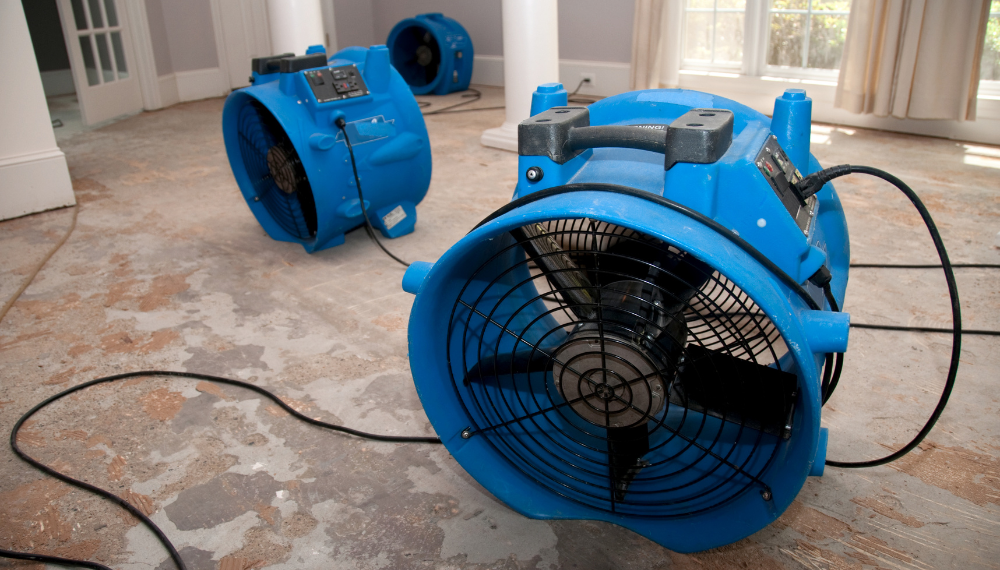 Vanguard Plumbing Services (1)