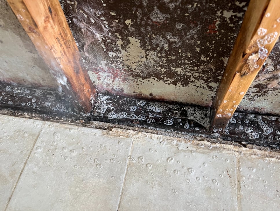 Spraying for mold (1)