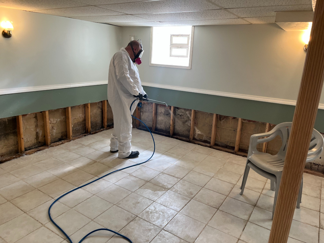 mold damage
